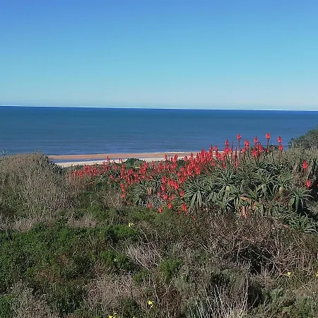 Pearl Of * Nazaré