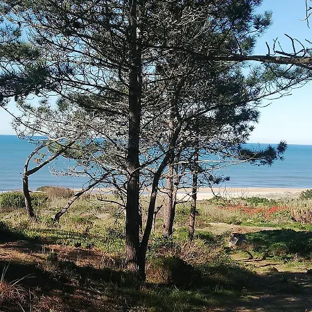 Pearl Of Apartman Nazaré
